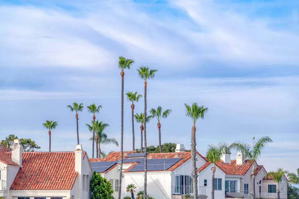 View of red tiled rooftops with solar panels and tall palm trees between houses